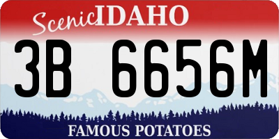 ID license plate 3B6656M