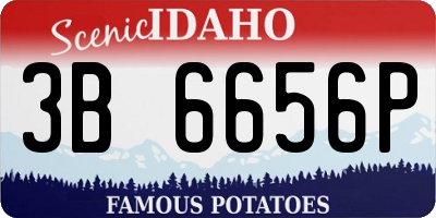 ID license plate 3B6656P