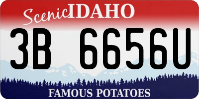 ID license plate 3B6656U
