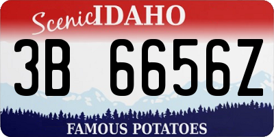 ID license plate 3B6656Z