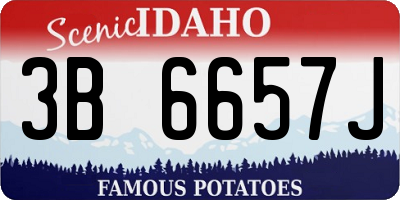 ID license plate 3B6657J