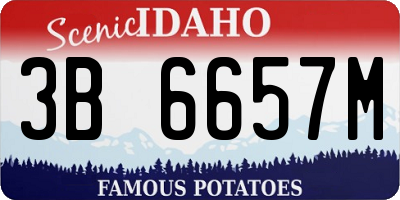 ID license plate 3B6657M
