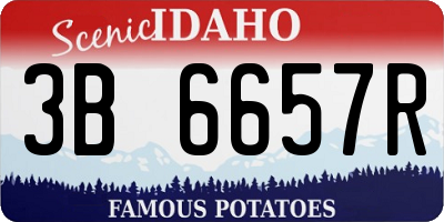 ID license plate 3B6657R