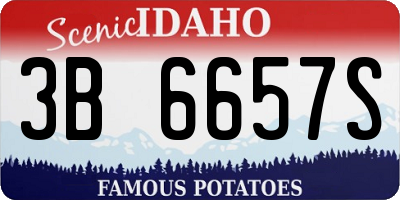 ID license plate 3B6657S