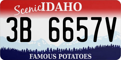 ID license plate 3B6657V