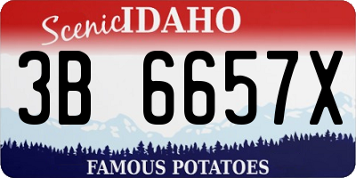 ID license plate 3B6657X