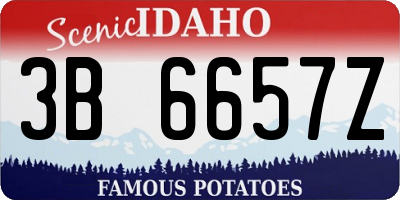 ID license plate 3B6657Z