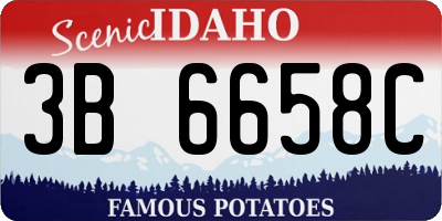 ID license plate 3B6658C