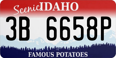 ID license plate 3B6658P