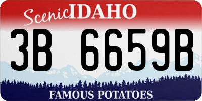 ID license plate 3B6659B