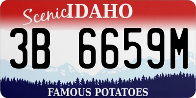 ID license plate 3B6659M