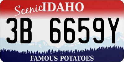 ID license plate 3B6659Y