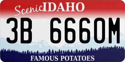 ID license plate 3B6660M