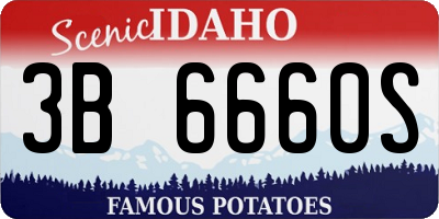 ID license plate 3B6660S