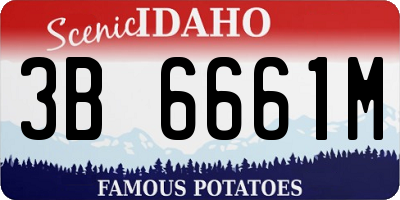ID license plate 3B6661M