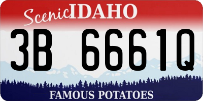 ID license plate 3B6661Q