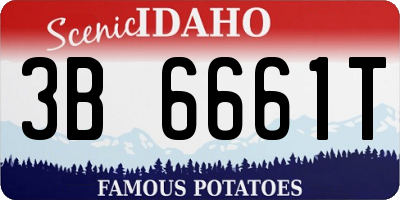 ID license plate 3B6661T
