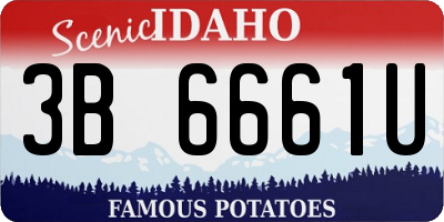 ID license plate 3B6661U