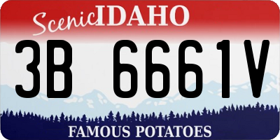 ID license plate 3B6661V