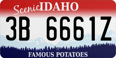 ID license plate 3B6661Z
