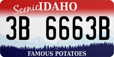 ID license plate 3B6663B