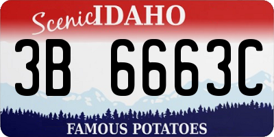 ID license plate 3B6663C