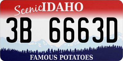 ID license plate 3B6663D