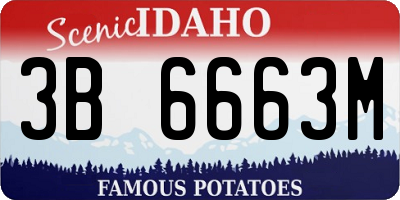ID license plate 3B6663M