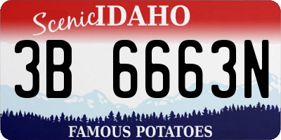 ID license plate 3B6663N