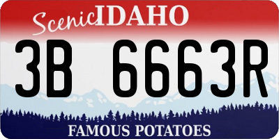 ID license plate 3B6663R
