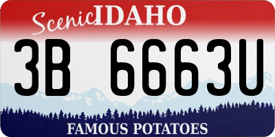 ID license plate 3B6663U