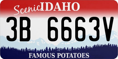 ID license plate 3B6663V