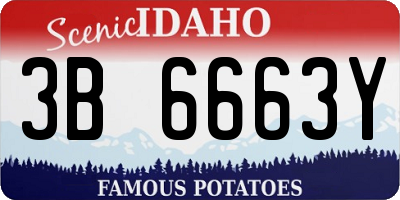 ID license plate 3B6663Y