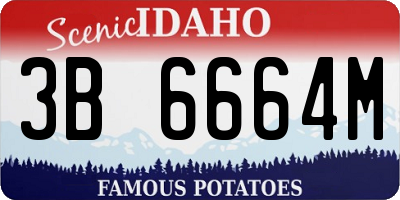 ID license plate 3B6664M