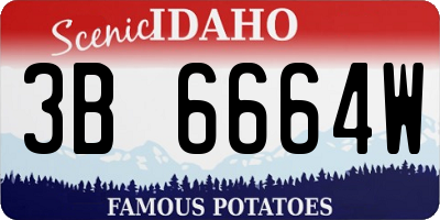 ID license plate 3B6664W