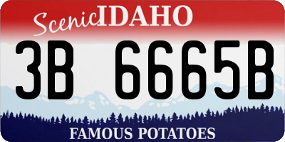 ID license plate 3B6665B