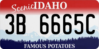 ID license plate 3B6665C