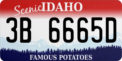 ID license plate 3B6665D