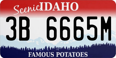 ID license plate 3B6665M