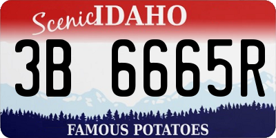 ID license plate 3B6665R