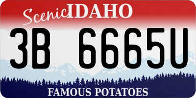 ID license plate 3B6665U
