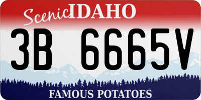 ID license plate 3B6665V