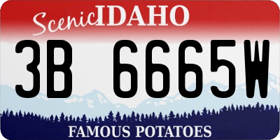 ID license plate 3B6665W