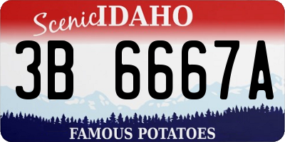 ID license plate 3B6667A