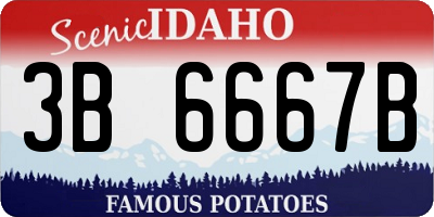 ID license plate 3B6667B