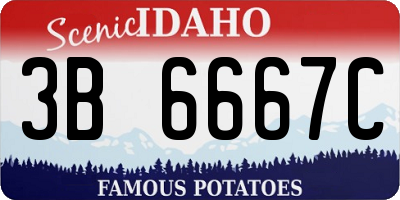 ID license plate 3B6667C