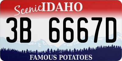 ID license plate 3B6667D