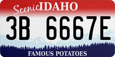 ID license plate 3B6667E