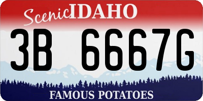 ID license plate 3B6667G