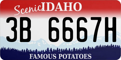 ID license plate 3B6667H
